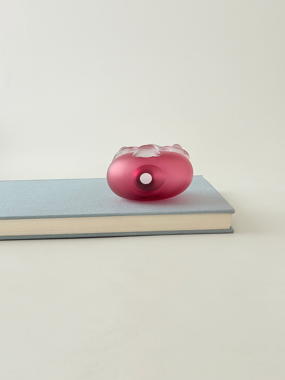 A small, glossy, translucent pinkish-red object  on top of a light blue hardcover book against a plain off-white background.