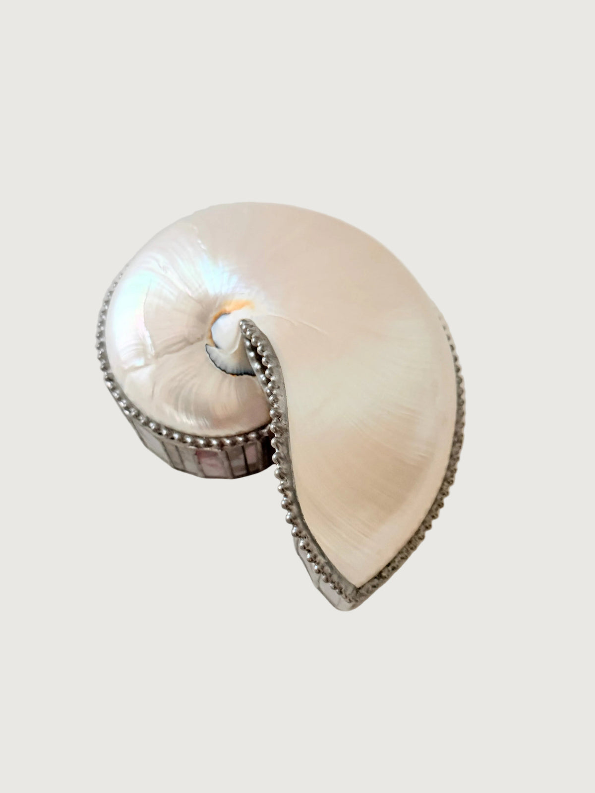 Vintage Nautilus Shell Stained Glass Jewelry Trinket Glass Box Closed. Home Decor. Vintage. Collectible. 